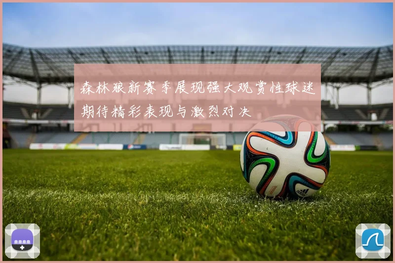 森林狼新赛季展现强大观赏性球迷期待精彩表现与激烈对决