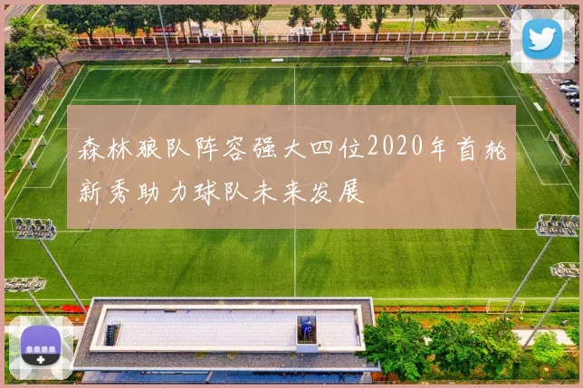 森林狼队阵容强大四位2020年首轮新秀助力球队未来发展