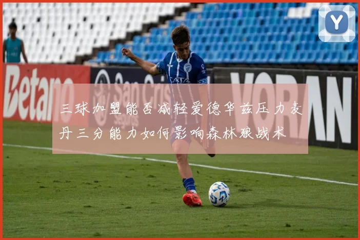 三球加盟能否减轻爱德华兹压力麦丹三分能力如何影响森林狼战术